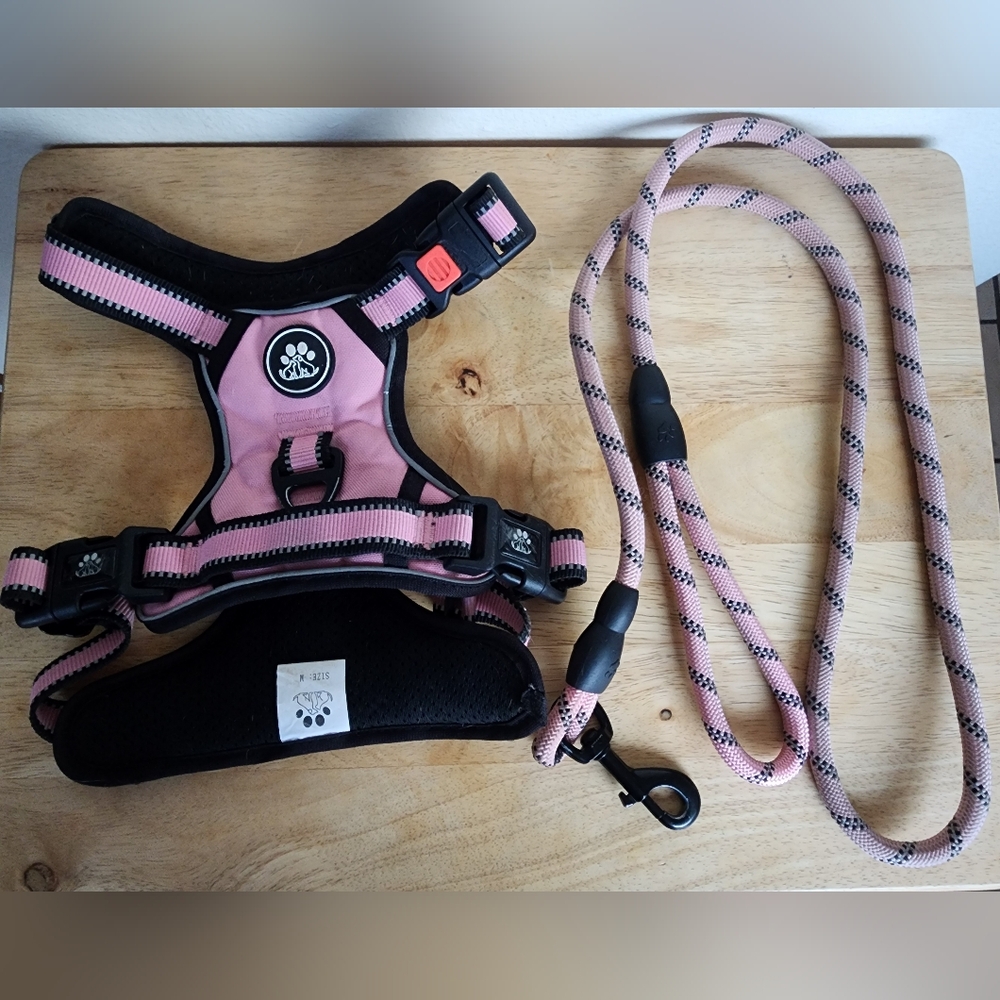 No-Pull Dog Vest Harness & Leash, Reflective No-Choke Pet Harness